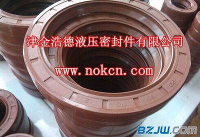 【現(xiàn)貨批發(fā)DC油封彈簧金屬骨架油封】_現(xiàn)貨批發(fā)DC油封彈簧金屬骨架油封價(jià)格_現(xiàn)貨批發(fā)DC油封彈簧金屬骨架油封廠家-到中華標(biāo)準(zhǔn)件網(wǎng)永年站