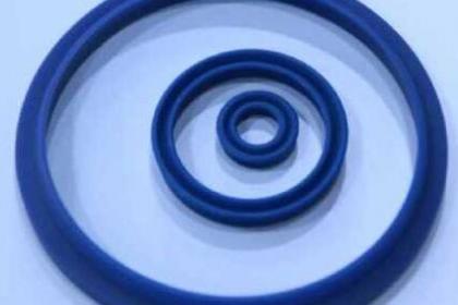 41 德國(guó)cfw油封的型號(hào)圖片 